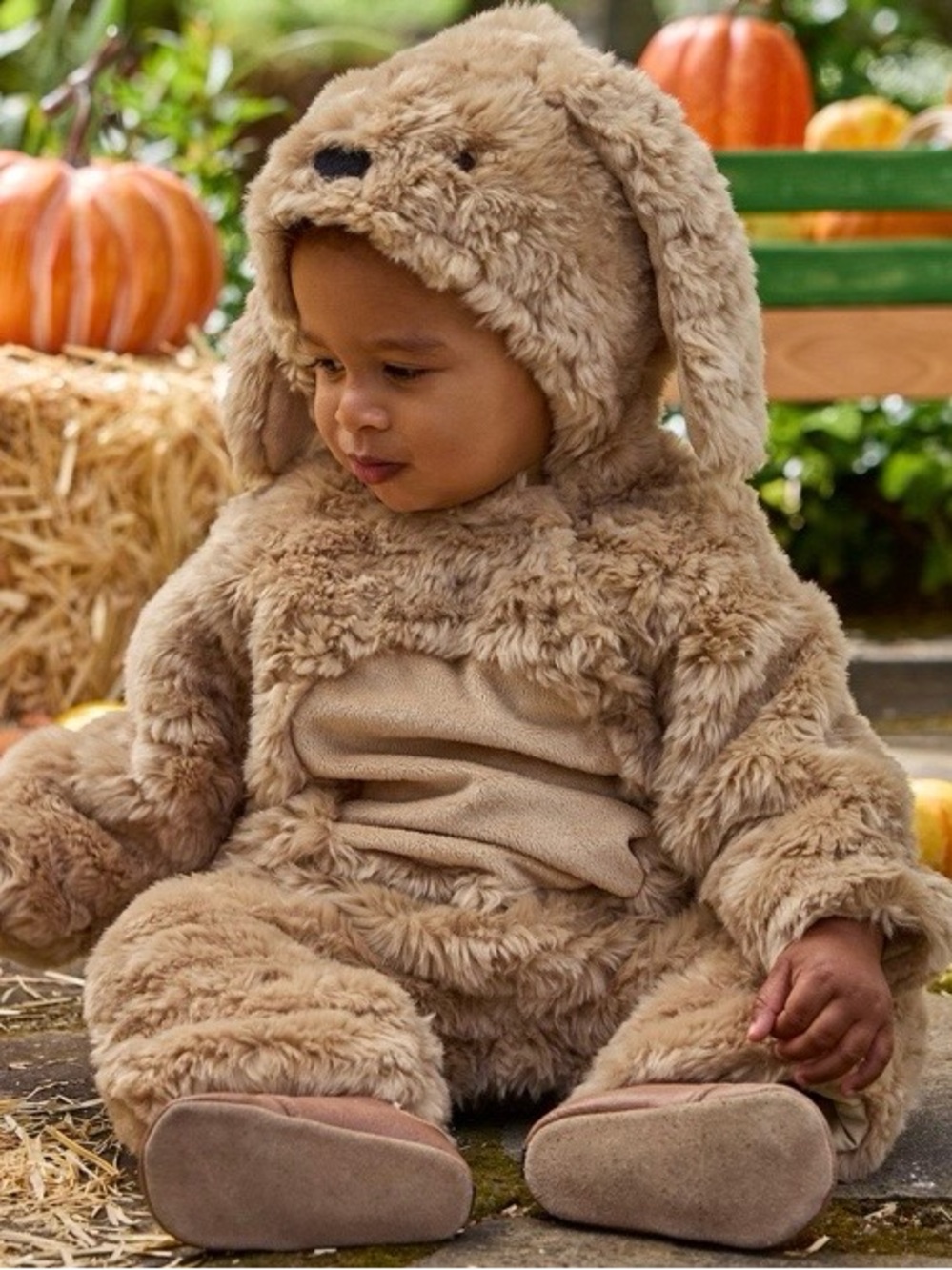 Pottery Barn Kids Baby Labradoodle Puppy Dog Halloween Costume 0-6M Faux Fur - Picture 7 of 16